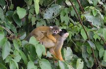  Lake Sandoval National reserve ,hiking and wildlife search