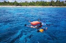 Snorkeling in the pass