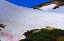 Glacier Hiking & Geothermal Cave Pools
