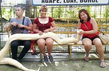 Exclusive Bohol,Philippines Chocolate Hills-Tarsier Tour