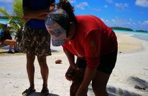 BLUE LAGOON | eco-tour | private island inside | White sand