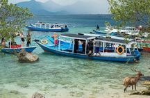 Snorkeling to Menjangan Island