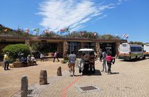 From CapeTown:TableMountain Private,Penguins&C.of Good Hope Tour 