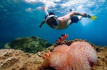 Nemo Island Experience with Drone Photos and Lunch