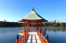 1-Day Hakata Walking Tour