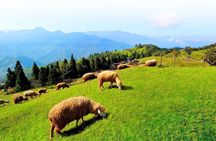 Taiwan Multi-Day Classic Tour
