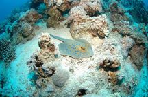 DSD "Discover Scuba Diving" (Min Age 10 Years)
