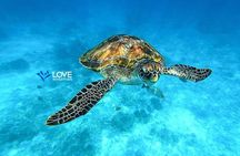 Similan Islands Snorkeling Day Trip By Love Andaman From Phuket