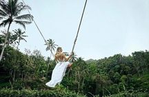 Bali: Ubud Highlights Tour with Private Guide and Transfers