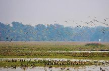 Tour of Pobitora Wildlife Sanctuary from Guwahati with Safari, Lunch and Guide