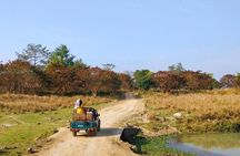 Tour of Pobitora Wildlife Sanctuary from Guwahati with Safari, Lunch and Guide