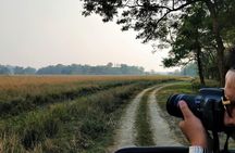 Tour of Pobitora Wildlife Sanctuary from Guwahati with Safari, Lunch and Guide