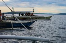 Bohol: Pamilacan Island Dolphin & Whale Watching Tour