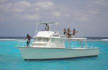 Starfish Point, Stingray City-Sandbar & Coral Gardens