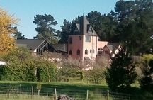 Waipara Wine Experience for 2 or more, inc tastings and lunch