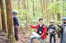 Rural Forestry Tour in Aso Minamioguni