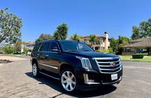 Private Tour of Los Angeles in Luxury SUV with Experienced Guide