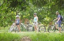 5-Hour Biking Tour in Mekong Island