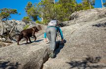 Stawamus Chief Hike & Local Brewery Tasting 
