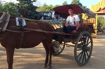 Private Bagan day tour by car with horse cart