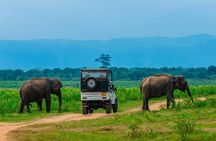 Half Day Udawalawe Safari from Kalutara (Entrance + Lunch)