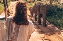  Half Day Udawalawe Safari from Kalutara (Entrance + Lunch)