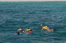Coral Reef Private Snorkel tour out to John Pennekamp Coral Reef State Park 