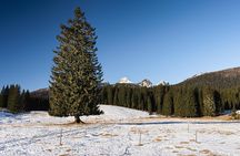 Winter Hike in Julian Alps
