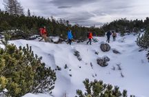 Winter Hike in Julian Alps