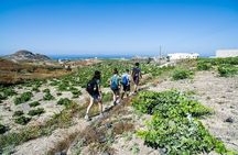Santorini : Cooking Class & Easy Hike