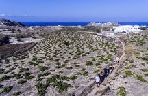 Santorini : Cooking Class & Easy Hike