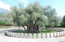 Port of Bar tour - Explore Adriatic area - Bar and Ulcinj tour