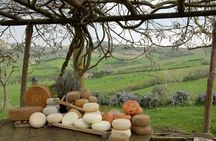 Pecorino Cheese di Pienza Tour