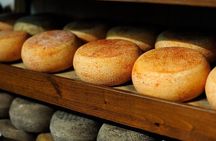 Pecorino Cheese di Pienza Tour