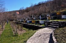 Gastronomy and Sightseeing in Montenegro - Lake Skadar & Cetinje Private Tour