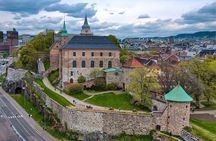 Sightseeing Private Tour of Oslo and Viking Ship Museum