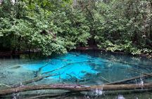 All day Krabi Jungle Tour (Hot Spring Water, Emerald Pool, Tiger Cave Temple) 