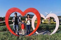 Taipei to Taichung Zhongshe Flower Market Day Trip