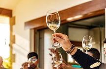 Bilbao Txakoli Wine Tour