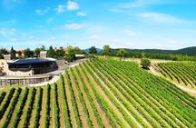 Bilbao Txakoli Wine Tour