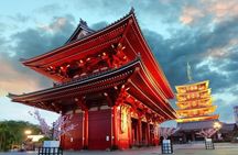 Tokyo Private Tour with Native Japanese Driver