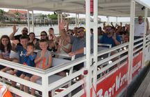 Red Boat Tours - Dolphin Odyssey and Sightseeing Tour