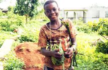 Zanzibar Spices Farms Tour (Private)