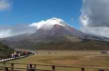 Excursion to Cotopaxi National Park and Limpiopungo Lagoon 