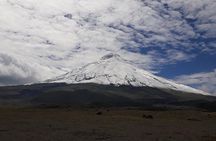 Excursion to Cotopaxi National Park and Limpiopungo Lagoon 