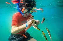 Shore Excursion Premium Family Snorkeling Experience