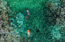 Shore Excursion Premium Family Snorkeling Experience