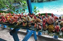 Hideaway Island Escape, Blue Lagoon and Turtle Experience