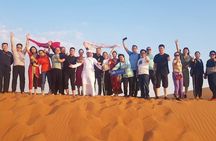 Dubai Desert Safari - Land Cruiser Pickup/Drop off 