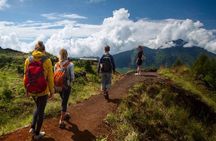 Mount Batur Hike and Hot Spring